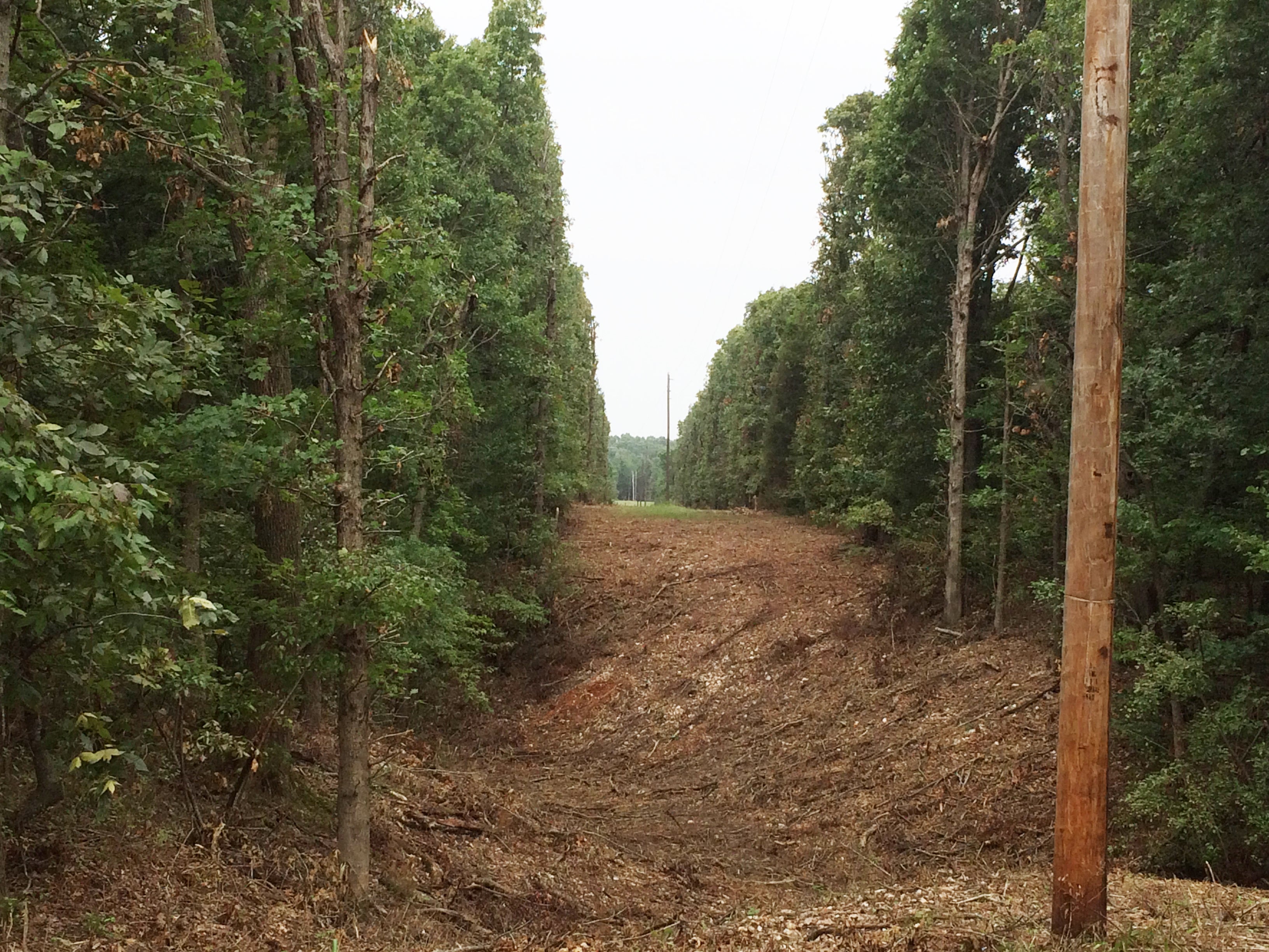 Finished Right-of -way
